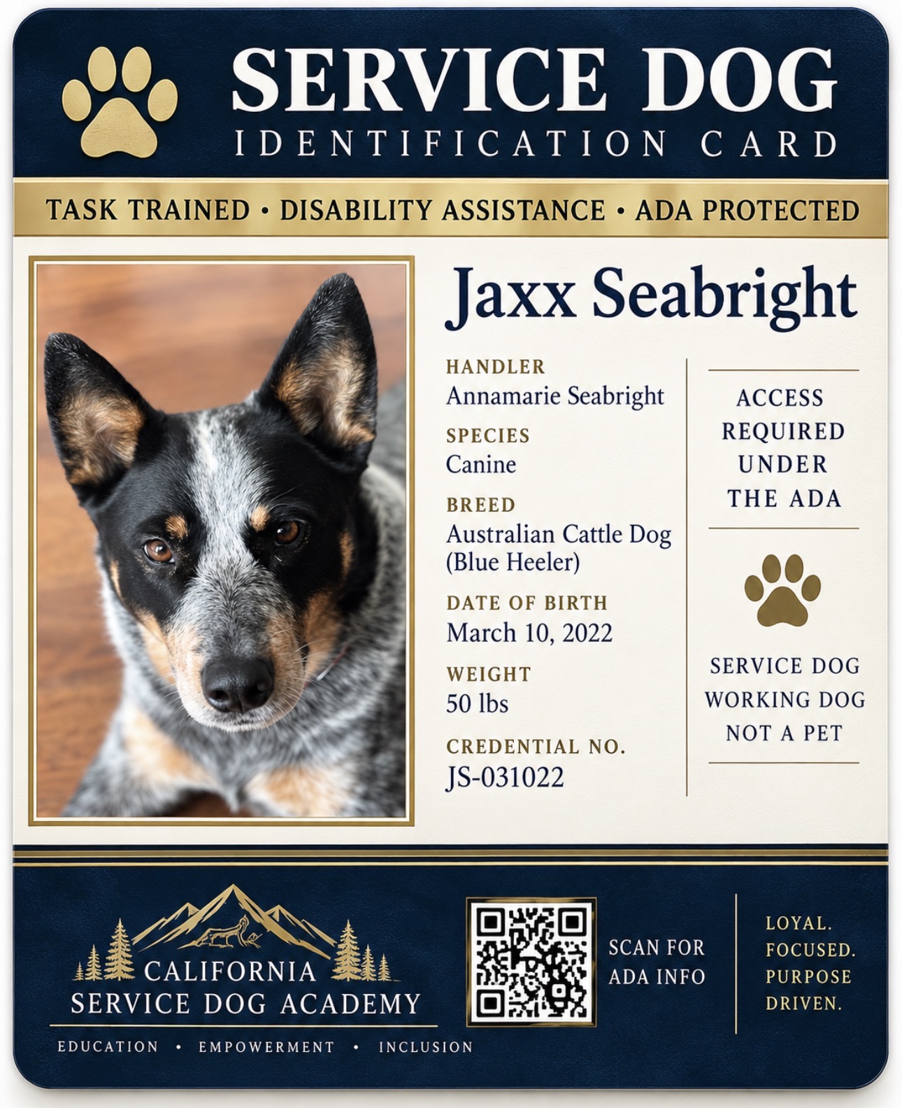 Service dog identification card for Jaxx Seabright showing his photo, handler, breed, date of birth, weight, and credential number JS-031022